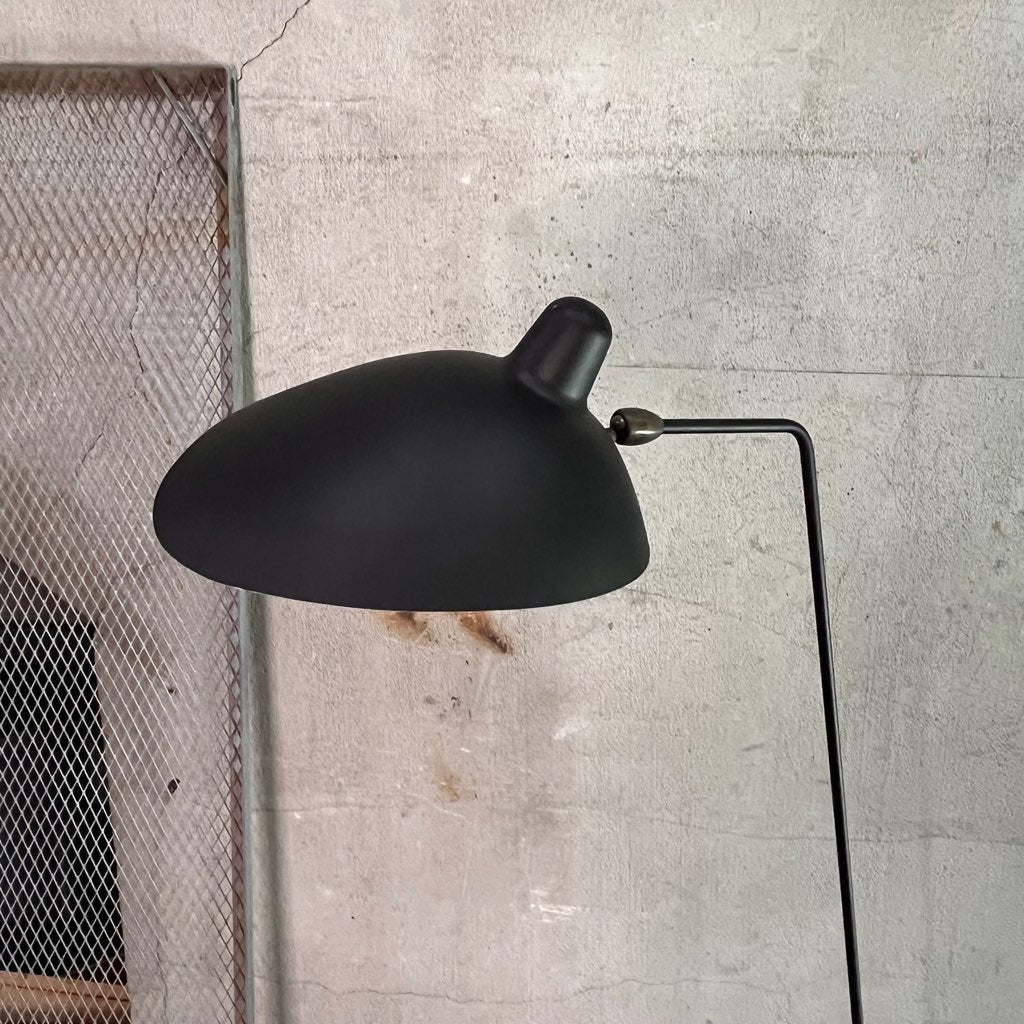 イデー ランパデール アン ルミエール LAMPADAIRE 1 LUMIERE Serge