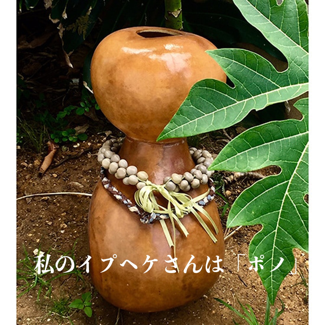 イプヘケ 高さ50cm前後 胴回り65cm前後 Ipu heke【アロハギフトのフラ
