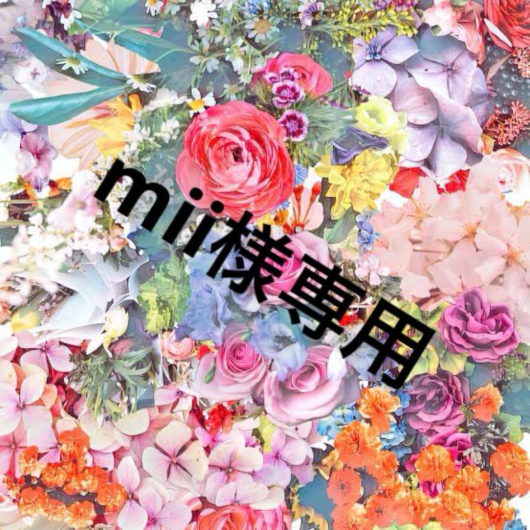 ファンデーション mii MiMC ファンデーション ミネラルリキッドリーファンデーション