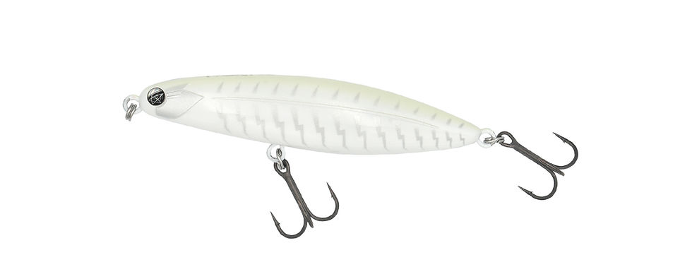 TYGAN90 | FISH MAGNET Official Web Site